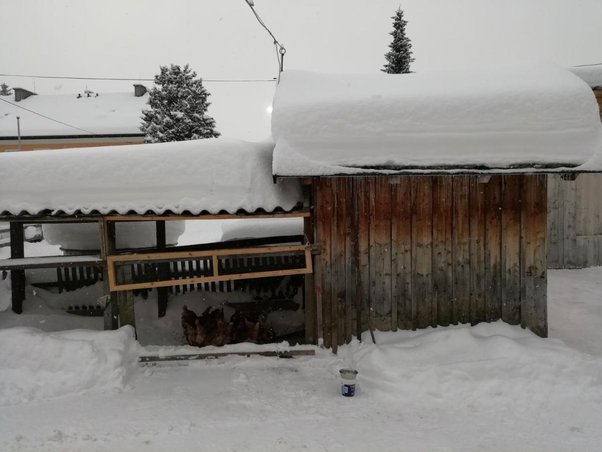 Haus Gell Hotel Mauterndorf  Bagian luar foto